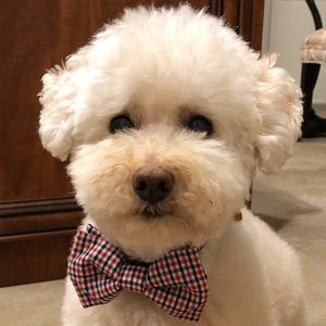 Meet your Posher, Sandralee